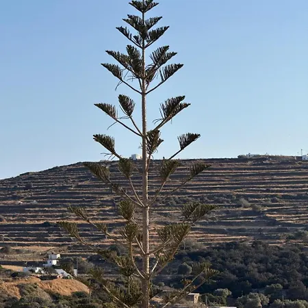 Ferienhaus S01 Xalakia - Near Apollonia, Sifnos Katavati
